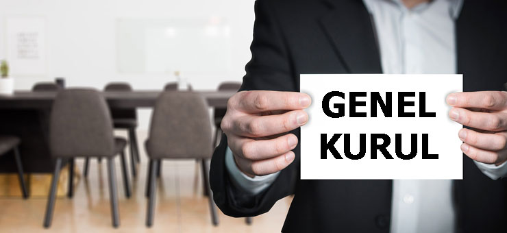 Genel Kurul
